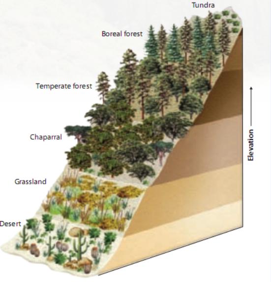 Mountains: as you go up in elevation, plant communities and climate change.