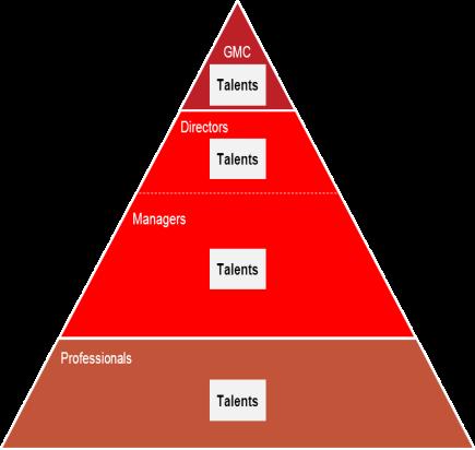 TALENT MANAGEMENT CASCADING THE FRAMEWORK INTO THE PYRAMID The