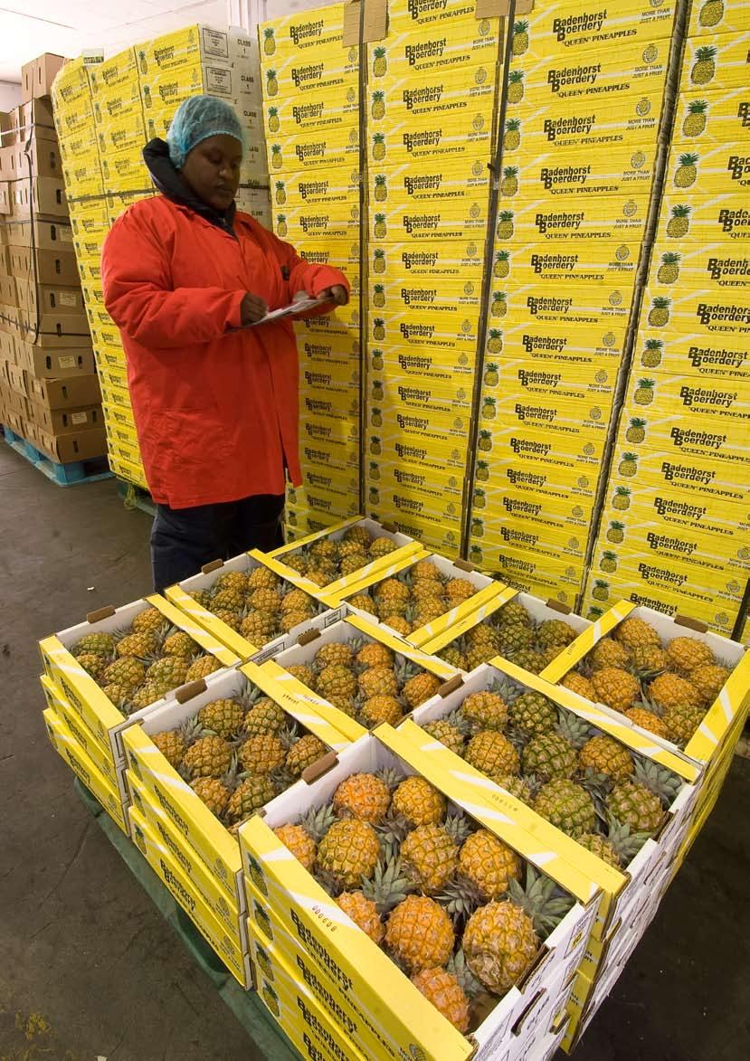 Perishable product handling Southern Africa is an internationally recognised production and supply base of quality horticultural, exotic and fish products.