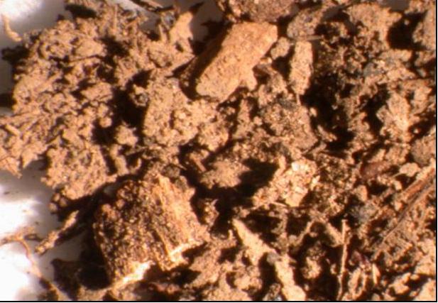 Fresh and Decomposing Residues. The fresh and decomposing residues are another fraction of the SOM. In most soils these residues consist of 30% or less of the organic matter.