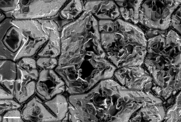 3: SEM micrographs after a) selective metal and glass etch and b) full contact etch. These samples were fired for 2.
