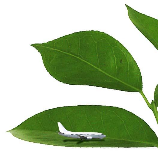 IATA carbon offset program 17 Airlines 6% of global traffic TAP Air Portugal - UNESCO Planet Earth Award in 2010.