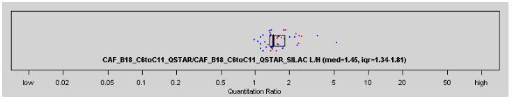Peptide Report (SILAC L and R) Protein level quantification statistics