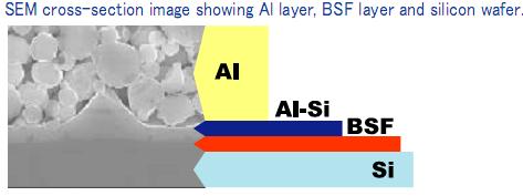 Backside Al contact (BSF=