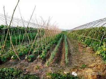 Natural Farming The Natural Farming method is based upon a circular farming system where crop and livestock production are integrated in a closed loop, creating a selfsupporting waste-free system.
