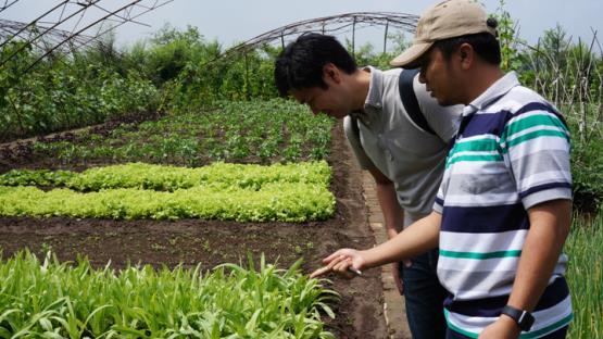 Shijie and Yunfeng believe the Natural Farming method is suitable for rural China where smallholder farmers are still the main producers.