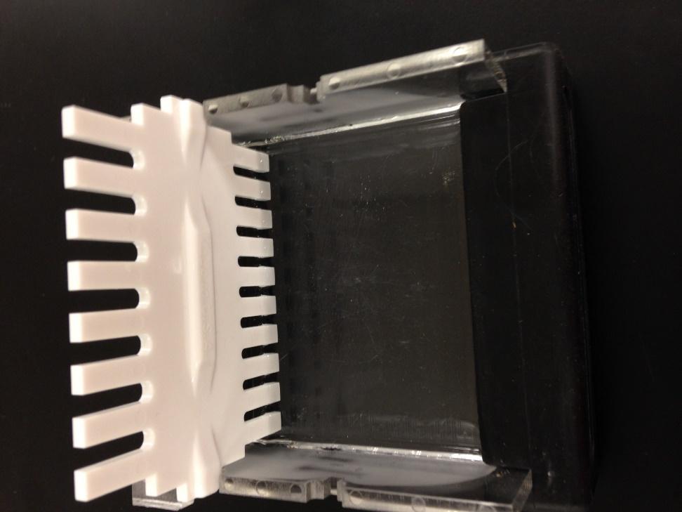 Comb Figure 2: The image on the left shows what a gel looks like right after it is