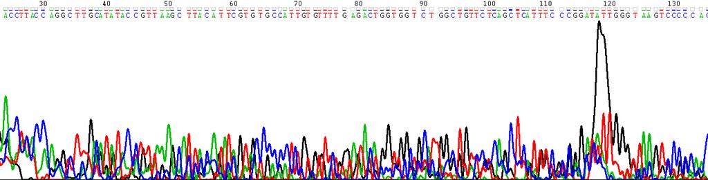 Figure 12: This figure is part of one the chromatograms for the Hall