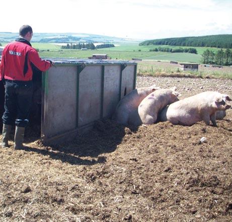 2 RAISING THE PROFESSIONALISM AND SKILLS OF THE ENGLISH PIG INDUSTRY Contents Background and summary 3 Objectives 5 Current