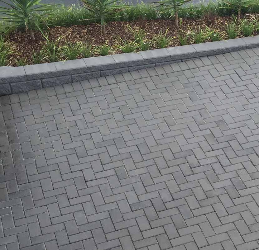 RETAINING WALLS & PAVERS / NTH NSW CAMINO 50 small format paver The Camino 50 offers a small format paver ideal for driveways, paths and pool surrounds.