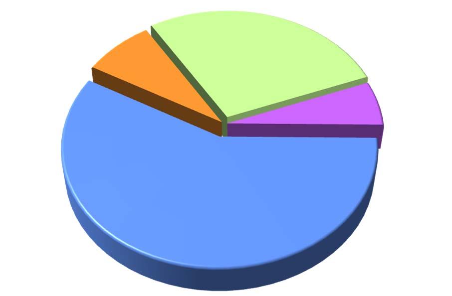 1%, 56% 3,241,000 3,540,000 3,879,000 GRAY IRON CASTINGS, 8%, 8% 2008 PERCENT OF SALES STEEL FORGINGS 28% ALUMINUM