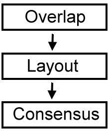 Overlap-layout-consensus (OLC) Software: Newbler (454 platform), SGA 1. Finding overlaps 2.