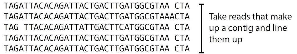 Consensus Pick most likely nucleotide sequence for each contig Deletion?