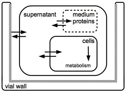 Accumulation in Cells Bellwon et al. (2015) Toxicol. In Vitro 30: 166; Bellwon et al.
