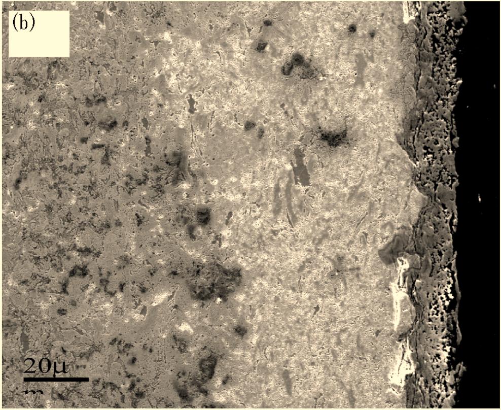 The difference in SEM images is the thickness of the oxidized layer. The thick of these three specimens is about 60 m, 40 m and 50 m, respectively.