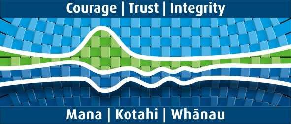 Our values - our journey A tatou haerenga Our values reflect who we are and what is important to us. Te Pumanawa 'the beating heart of the organisation'.