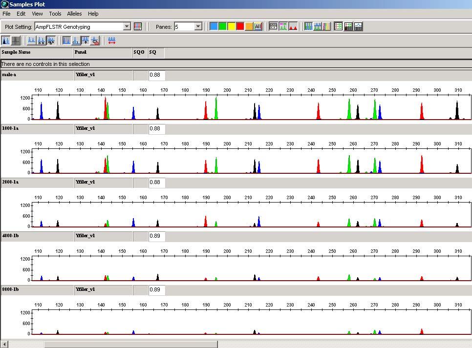 AmpF STR Yfiler Kit Mixtures of male and female DNA Male DNA input