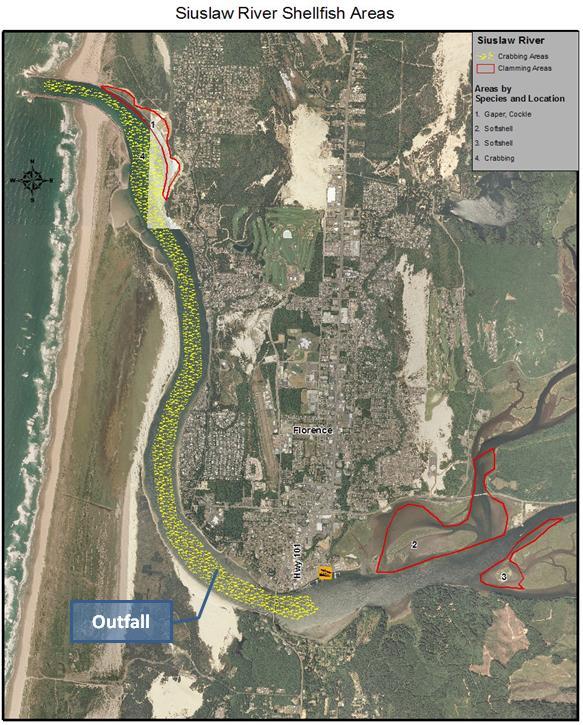 Figure 2: Shellfishing Locations (source: ODFW) Bacteria The discharge pipe is located in the Siuslaw River estuary. Two bacteria criteria apply at this location: fecal coliform and enterococci.