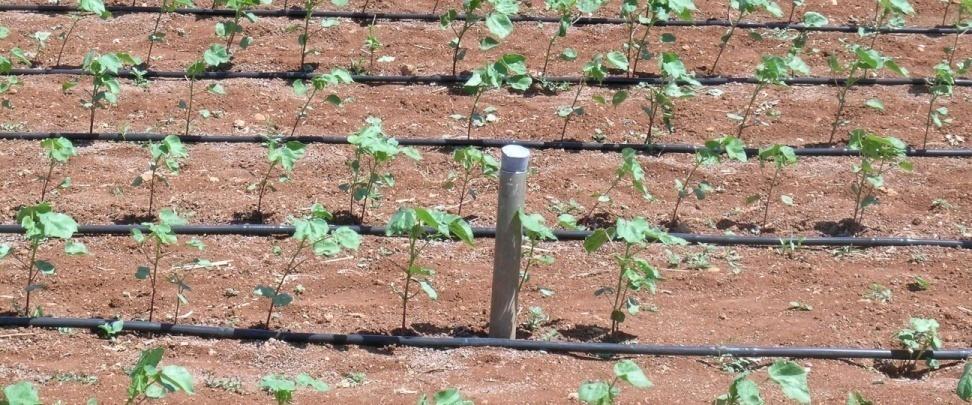 Trickle irrigation Under irrigation Application eff.