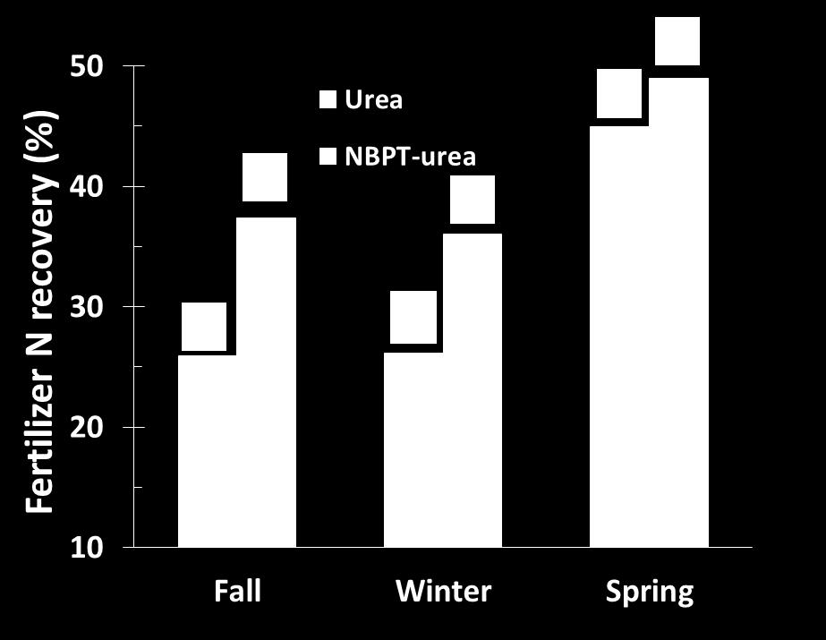 N application timing and source (urea and NBPT-urea) effect on fertilizer N recovery in winter wheat grain Averages are for both N rates