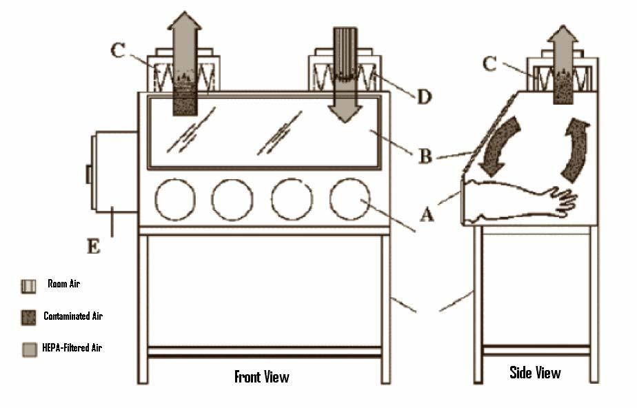 Figure 5. Class III BSC. A. glove ports with O-ring for attaching arm-length gloves to cabinet, B. sash, C. exhaust HEPA filter, D. supply HEPA filter, E. double-ended autoclave or pass-through box.