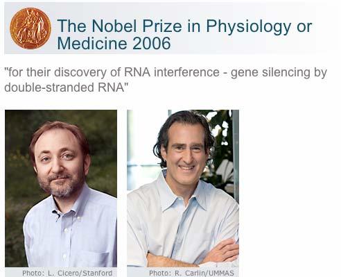 17. RNAi Nobel Prize Andrew Fire