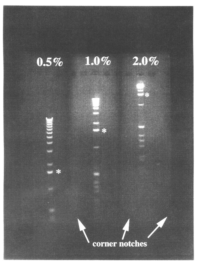 Johnson, P. H. and L. I. Grossman. 1977. Electrophoresis of DNA in agarose gels. Optimizing separations of conformational isomers of double and single-stranded DNAs. Biochemistry, 16:4217.