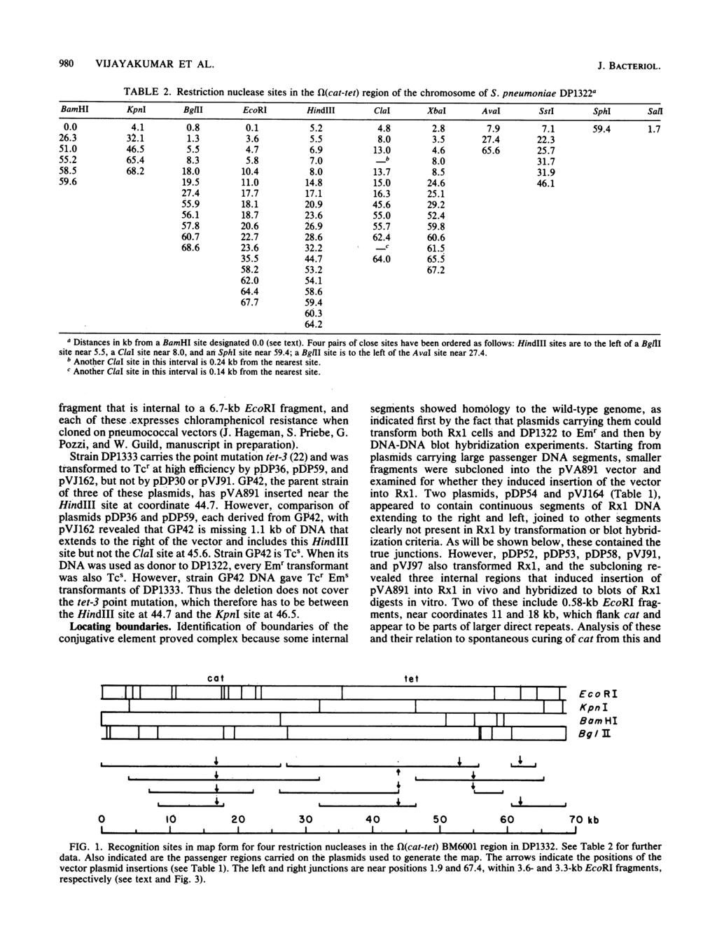 980 VIJAYAKUMAR ET AL. J. BACTERIOL. TABLE 2. Restriction nuclease sites in the Ql(cat-tet) region of the chromosome of S.