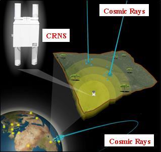 Cosmic-Ray Soil Moisture Sensor Radius of