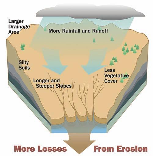 What contributes to erosion?