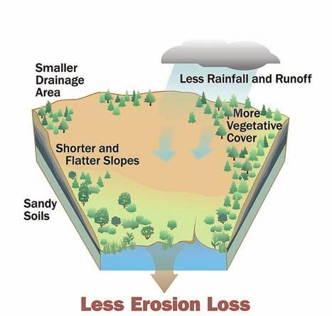 erodible soils result in higher soil losses from erosion.
