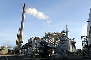 - Sources of biomass: wood chip, bagase,
