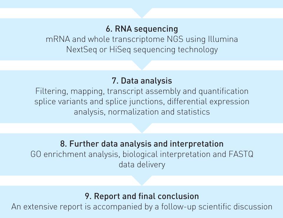 transcriptome RNA sequencing at Exiqon A/S.