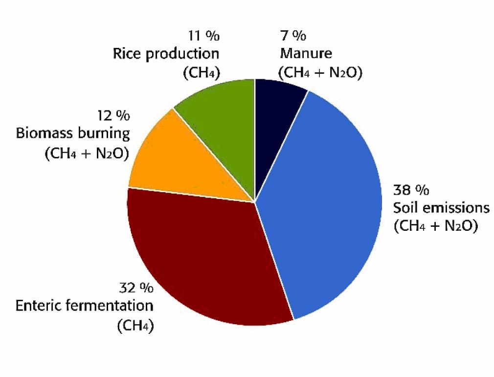 Figure 2: Main sources of GHGs from agriculture -2005 Table 1: Nepal s National Greenhouse Gas Inventory in 1994/95 (Gg) (MoEST, 2008) Greenhouse Gas (Source and Sink Categories) CO2 Emission CO2