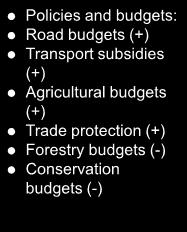 Relative price of NT goods rises Policies and budgets: Road budgets (+) Transport subsidies (+) Agricultural budgets (+) Trade protection (+) Forestry budgets (-) Conservation budgets