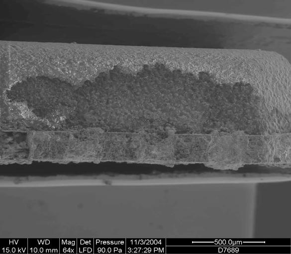 Figure 14: ESEM view of creep corrosion over molding compound surface on QFN package with Ni/Pd/Au-Ag finish