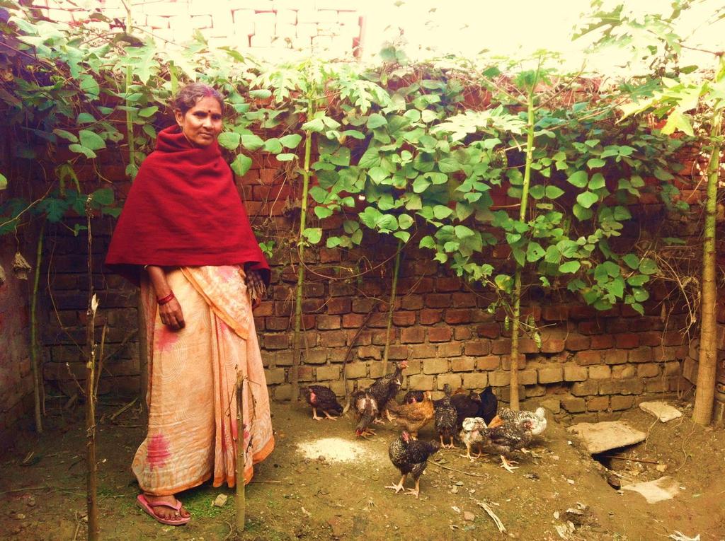 A Self Help Group (SHG) member engaged in