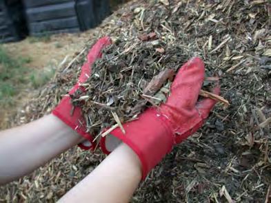 Mulch Using organic materials as mulch can help: increase soil