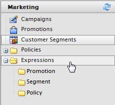 An expression is XML statements that create custom promotions, customer segments and policies.