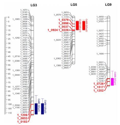SNP Markers for Cowpea Bacterial Blight Resistance Three QTLs, CoBB1, CoBB2, and CoBB3, were reported to be linked to CoBB resistance on linkage group LG3, LG5 and LG9 of cowpea (Agbicodo et al.