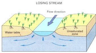 Groundwater Groundwater recharged by: Water that infiltrates past the root zone Losing streams (in arid