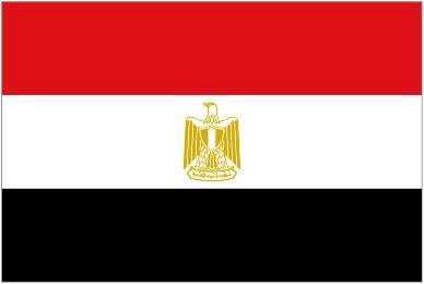 Country: National Strategies: National institutional arrangements: Egypt Egypt adopted Sustainable Development Strategy (SDS): Egypt Vision 2030 in 2016.
