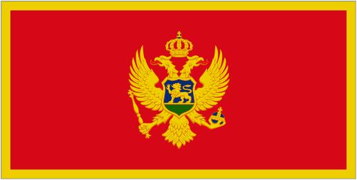 Country: National strategies: National institutional arrangements: Local authorities: Parliament: Engaging and equipping public servants: Civil society and the private sector: Montenegro The