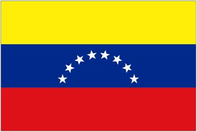 Country: National strategies: National institutional arrangements: Local authorities: Parliament: Engaging and equipping public servants: Venezuela Venezuela has aligned the historical, national,