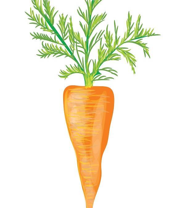 Methods Use of carrots Use of humor