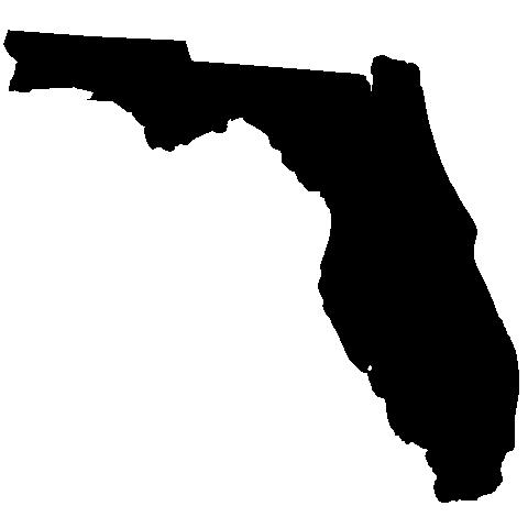 Demographic Data - 2010 State of Florida White 57%