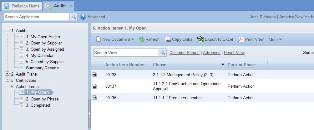 To view action items individually, simply select on the item you would like to view. You will notice that each of your action items are listed in a phase of Perform Action.