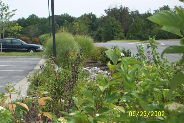 Landscape Filter Basin Grade separation in parking lots needs to be