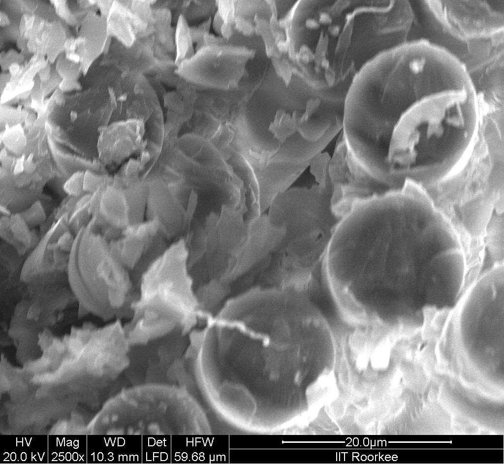o C 1) The SEM images of composite specimen which were subjected to 2% loading (T1, 1 month) shown below in