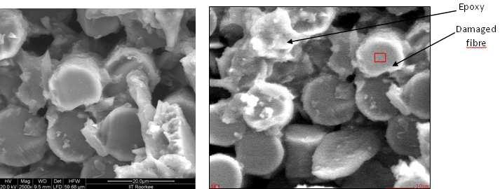 SEM RESULTS OF NaOH Bath BATH T2 (after 1 month) Holding Parameters: NaOH bath Time: 1 month Temperature: 45 o C The SEM images of specimen which were subjected to 2% loading (T2, 1month) shown below
